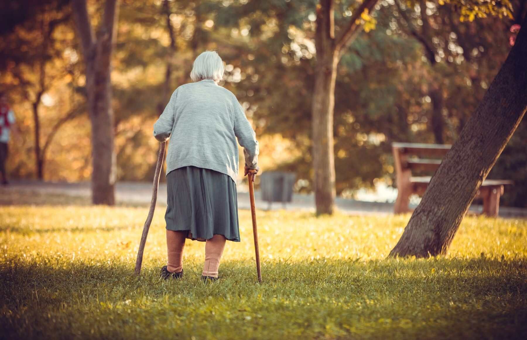 Senior atteinte d'Alzheimer en errance extérieure