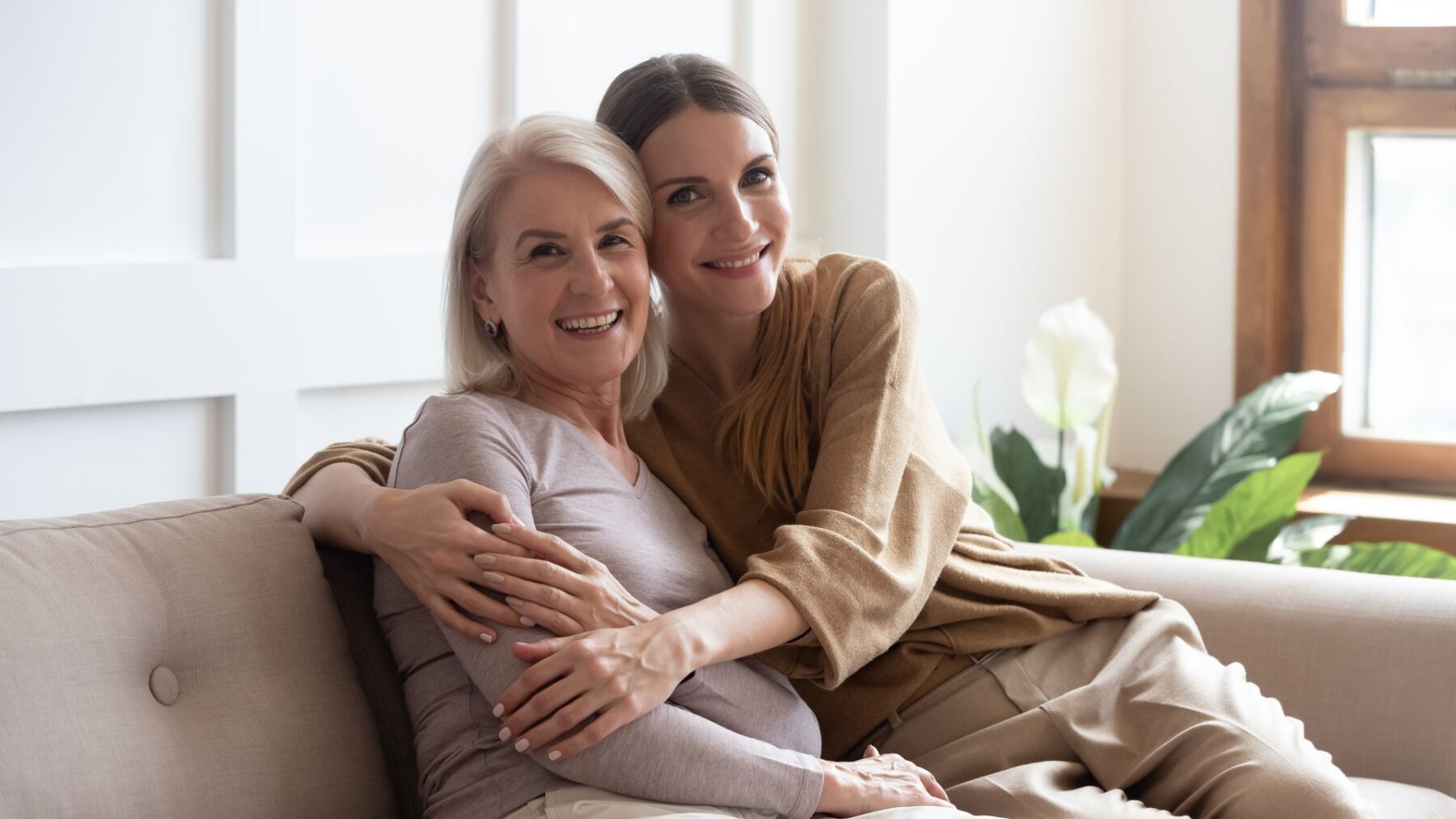 Senior sous habilitation familiale