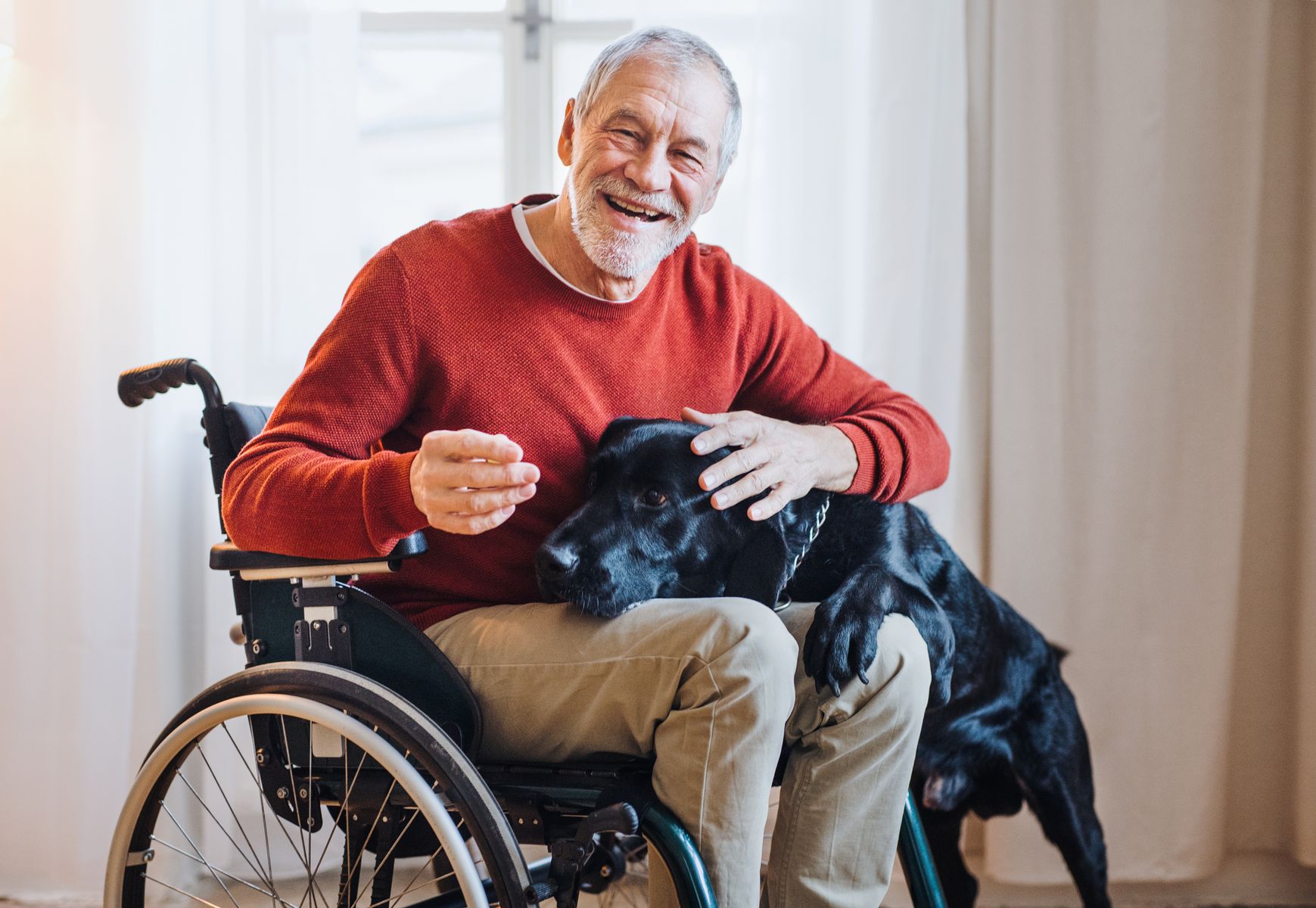 Animal qui aide le senior à lutter contre le sentiment d'isolement et de solitude