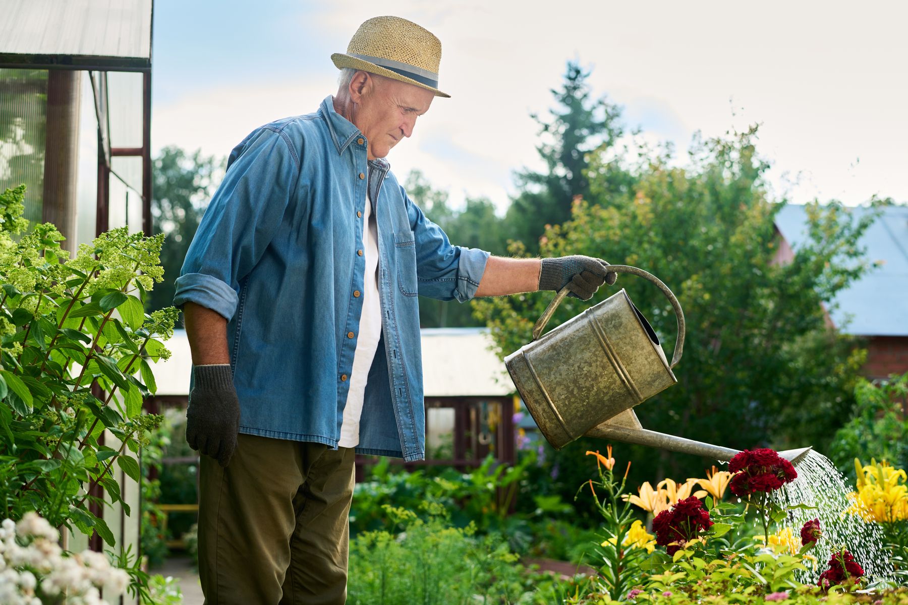 Senior avec des troubles cognitifs entrain d'arroser des plantes